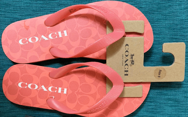 Coach flip hotsell flops sale