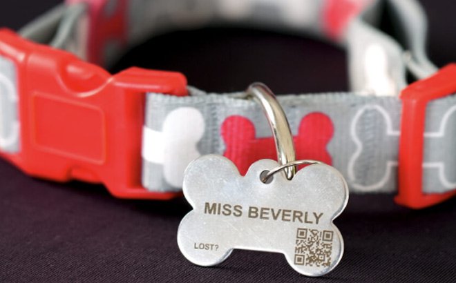 FREE Custom Pet ID Tag!