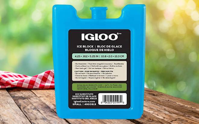 Igloo Reusable Ice Block Packs 98¢