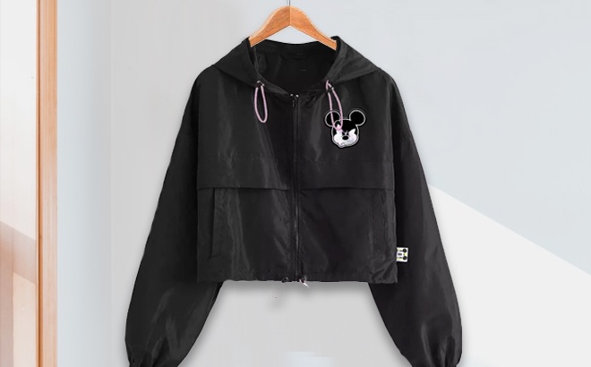 Mickey on sale mouse windbreaker