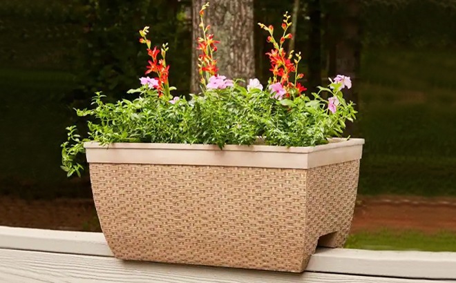Deck Rail Planter $9 (Reg $25)