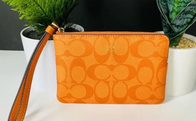 Coach Outlet Wristlet $23 Shipped | Free Stuff Finder