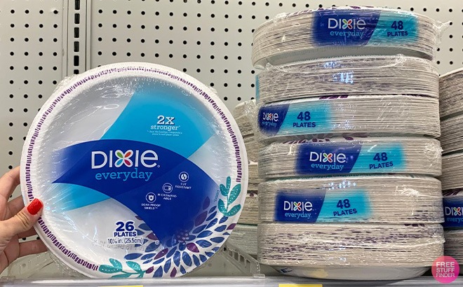 Hand Holding Dixie Paper Plates
