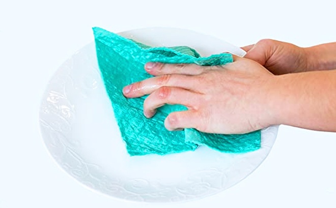 Swedish Dishcloths 10-Pack for $13.99