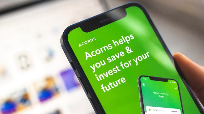 A Person Holding a Phone with Acorns on the Background A Person Holding a Phone with Acorns on the Background