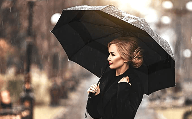 Windproof Travel Umbrella $8.58