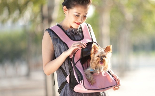 MKF Pet Carriers $29 Shipped!