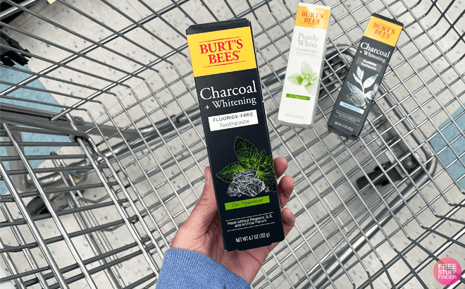 2 FREE Burt's Bees Toothpaste at Walmart