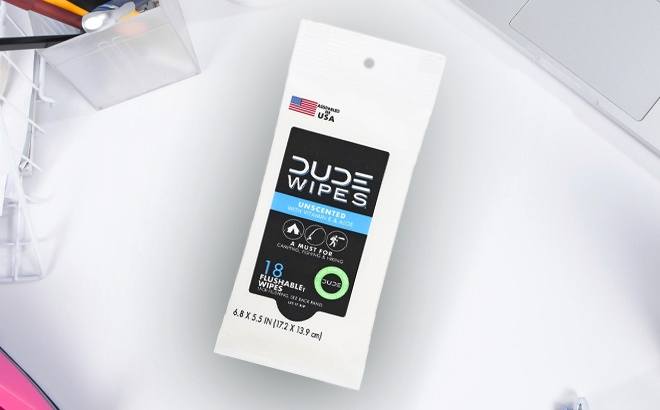 FREE Dude Wipes + $1.42 Moneymaker