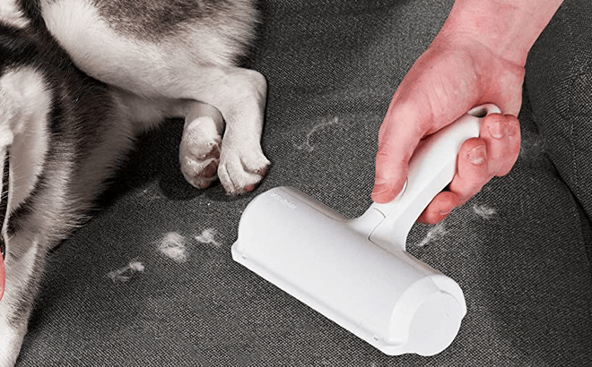 Pet Hair Remover $17.95
