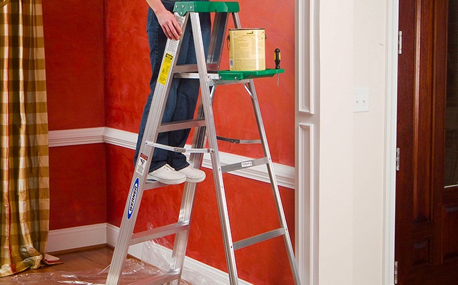 5-Feet Ladder $39