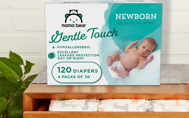 Mama Bear Diapers Boxes $16 Shipped