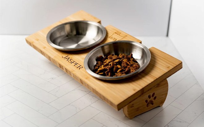 Personalized Pet Bowl Stand $36 Shipped