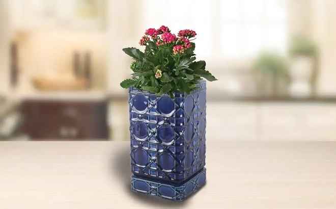 50% Off Home Depot Planters