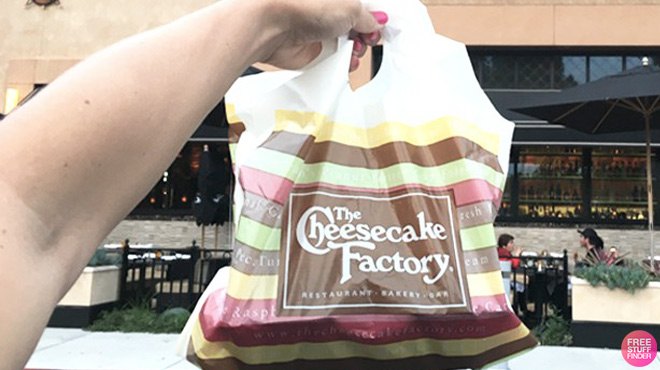 Person Holding The Cheesecake Factory Bag Person Holding The Cheesecake Factory Bag