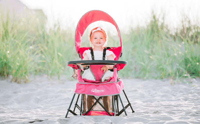 Baby Delight Portable Chair $38