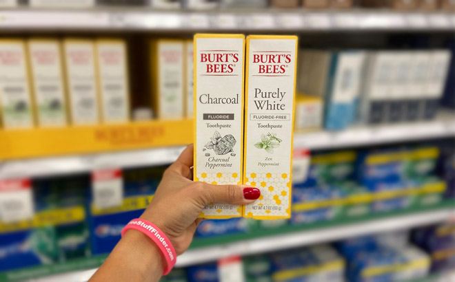 4 FREE Burt's Bees Toothpaste + $1.04 Moneymaker