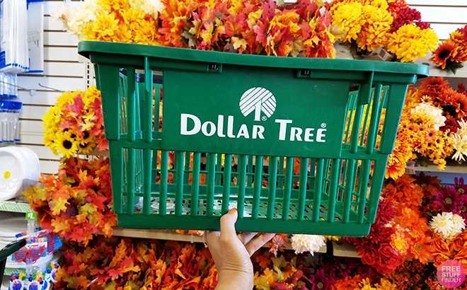 FREE $15 to Spend at Dollar Tree (New TCB Members!)