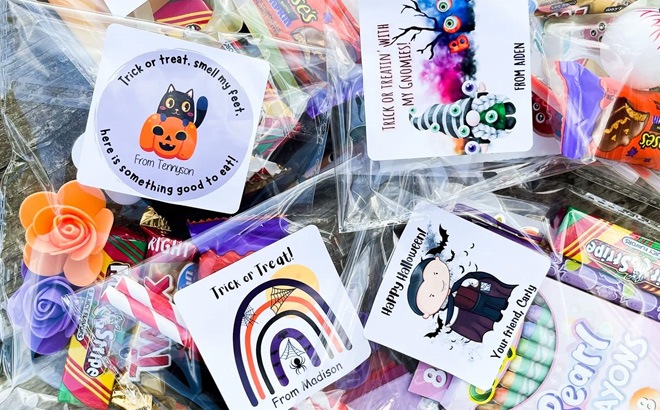Personalized Halloween Treat Bags $13.99