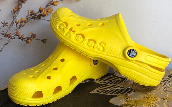 Crocs Clogs $22