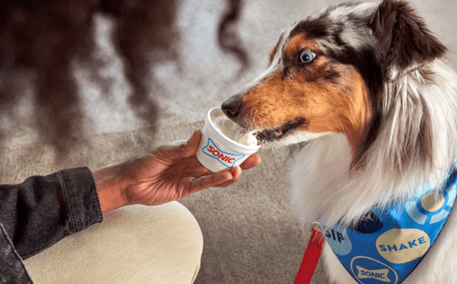 FREE Pup-Friendly Wag Cup With Purchase