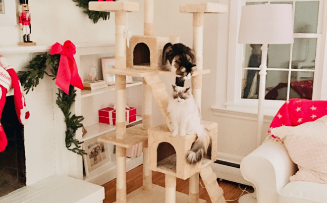 Cat Tree 72-Inch for $52 Shipped