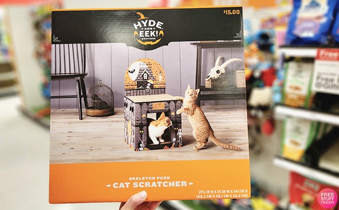 Halloween Cat Scratcher $11!