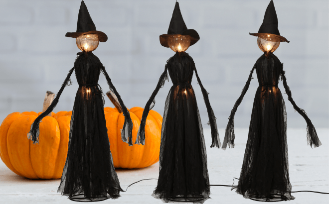 Halloween Witch 3-Pack for $51 Shipped