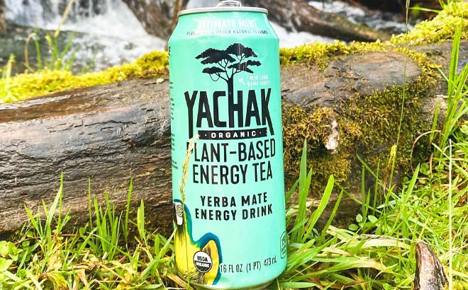 FREE Yachak Plant Based Energy Drink