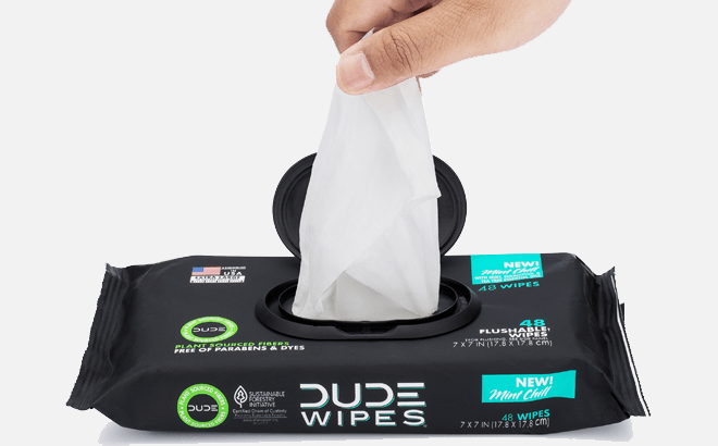 Dude Flushable Wipes 288-Count for $11.62