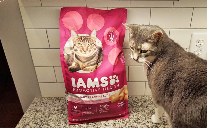 IAMS 3.5-Pound Cat Food $5