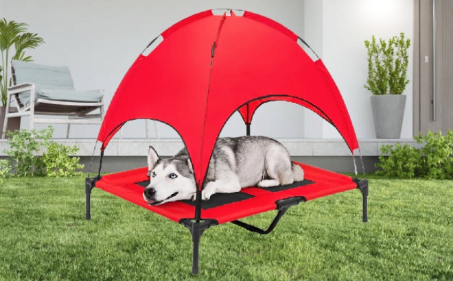Portable Dog Bed with Canopy $39 Shipped
