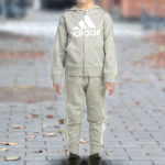 Adidas Toddler Boys Long Sleeve Hooded Jacket & Joggers Set Primary Pic