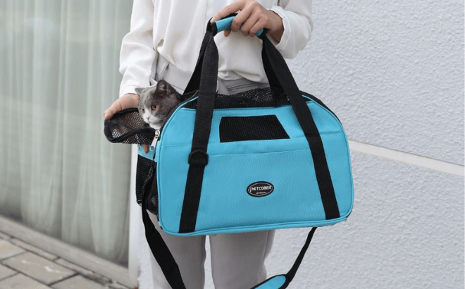 MKFCollection Pet Carrier $24 Shipped