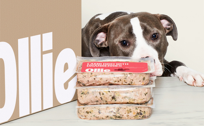 75% Off First Dog Food Box  + Freebies Shipped!