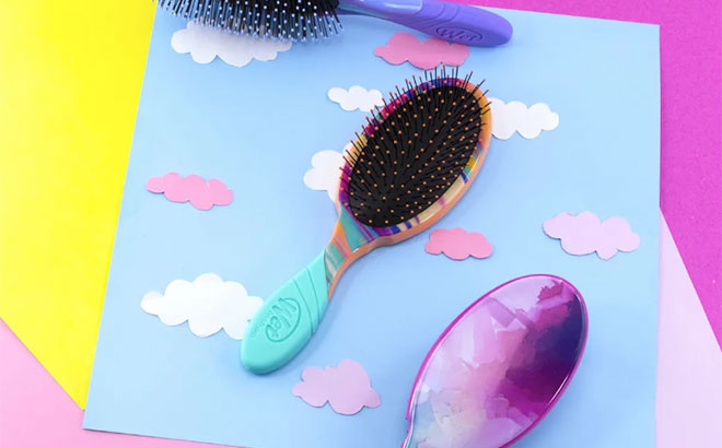 Wet Hair Brush $12.99 Shipped