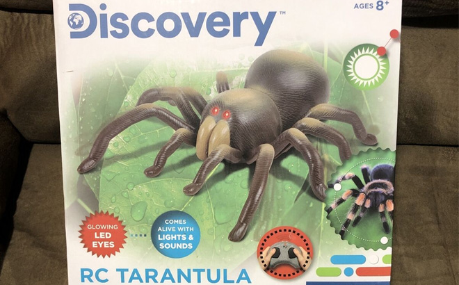 Discovery Kids Tarantula RC Toy $10