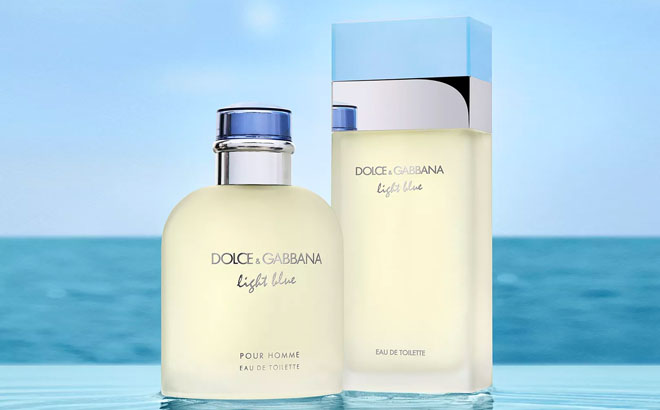 Dolce & Gabbana Light Blue Perfume $25