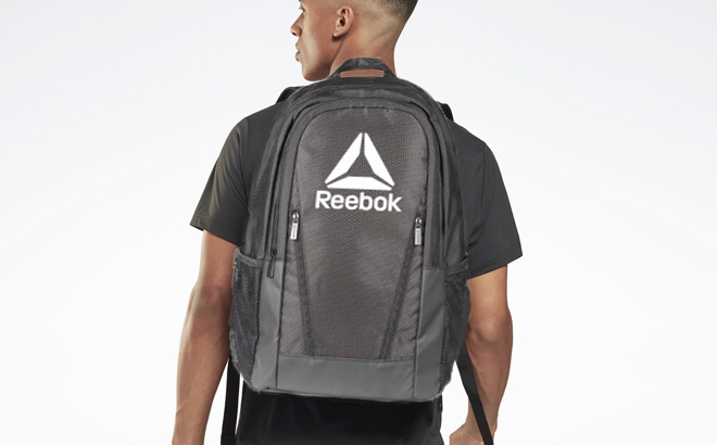 Reebok Unisex Adult Hudson Backpack - Dark Heather Gray 