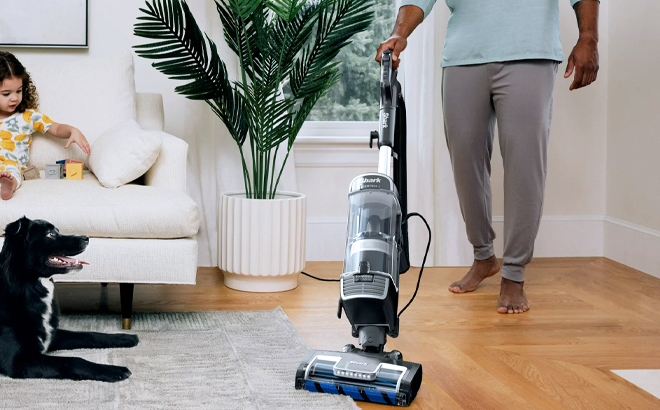 Shark Vertex Vacuum $198 Shipped