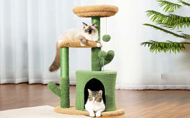 Cactus Cat Tower $44 Shipped