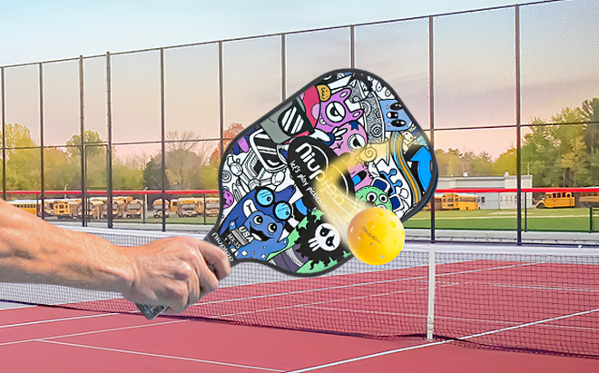 Pickleball Paddle Set $47 Shipped