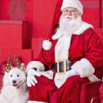 PetSmart-FREE-Santa-Photo-1