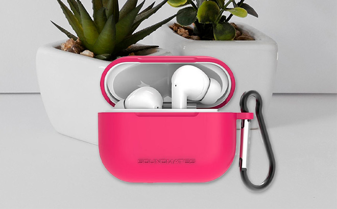 Wireless Earbuds and Case $13