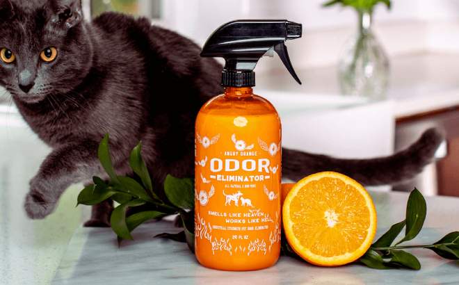 Angry Orange Pet Odor Eliminator $14