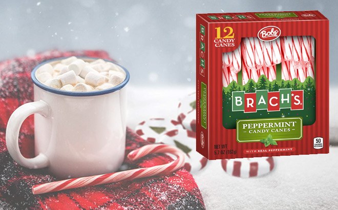 FREE Brach’s Candy Canes After Rebate (First 5000)