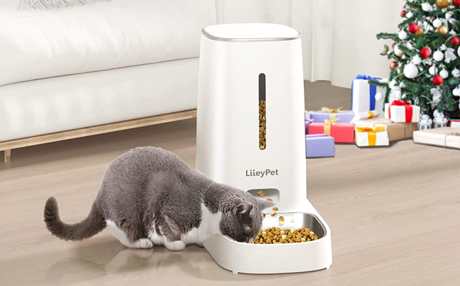 Automatic Cat Feeder $34 Shipped