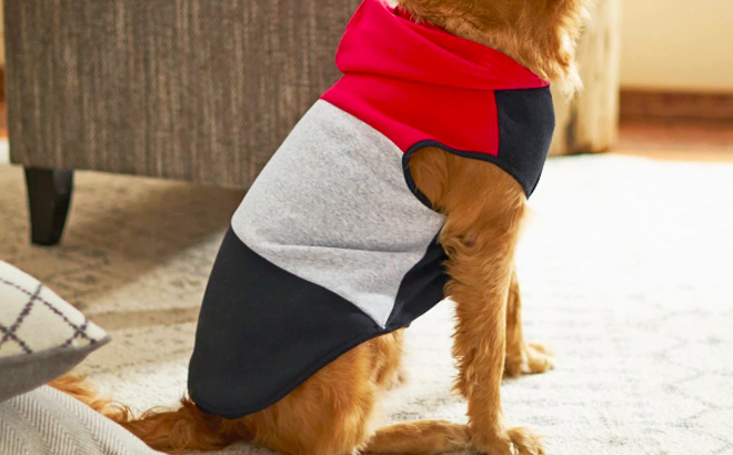 Chewy Pet Clothes $4.72