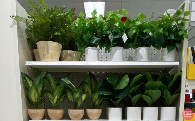 Threshold Faux Plants $3.50 at Target