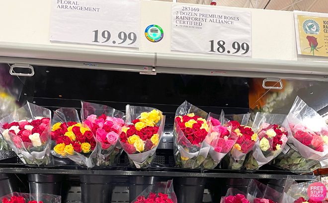 Valentine's Day Roses $18.99